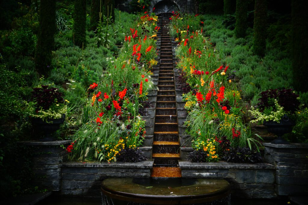 mainau island, lake constance, planted