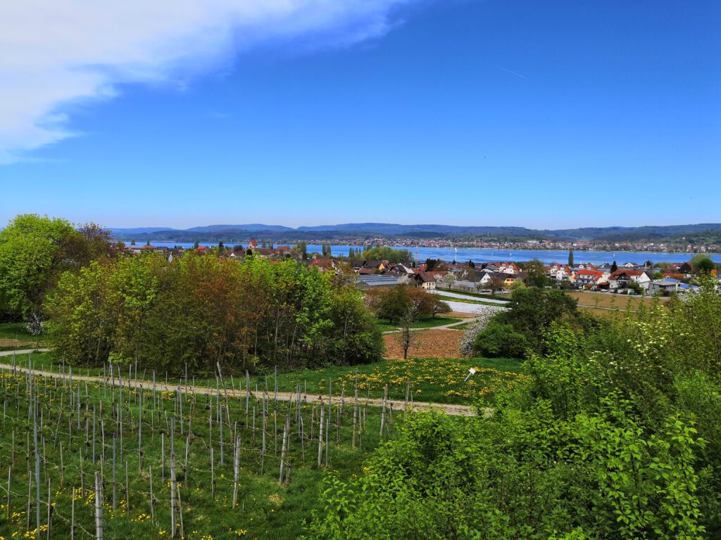 Insel Reichenau im Bodensee