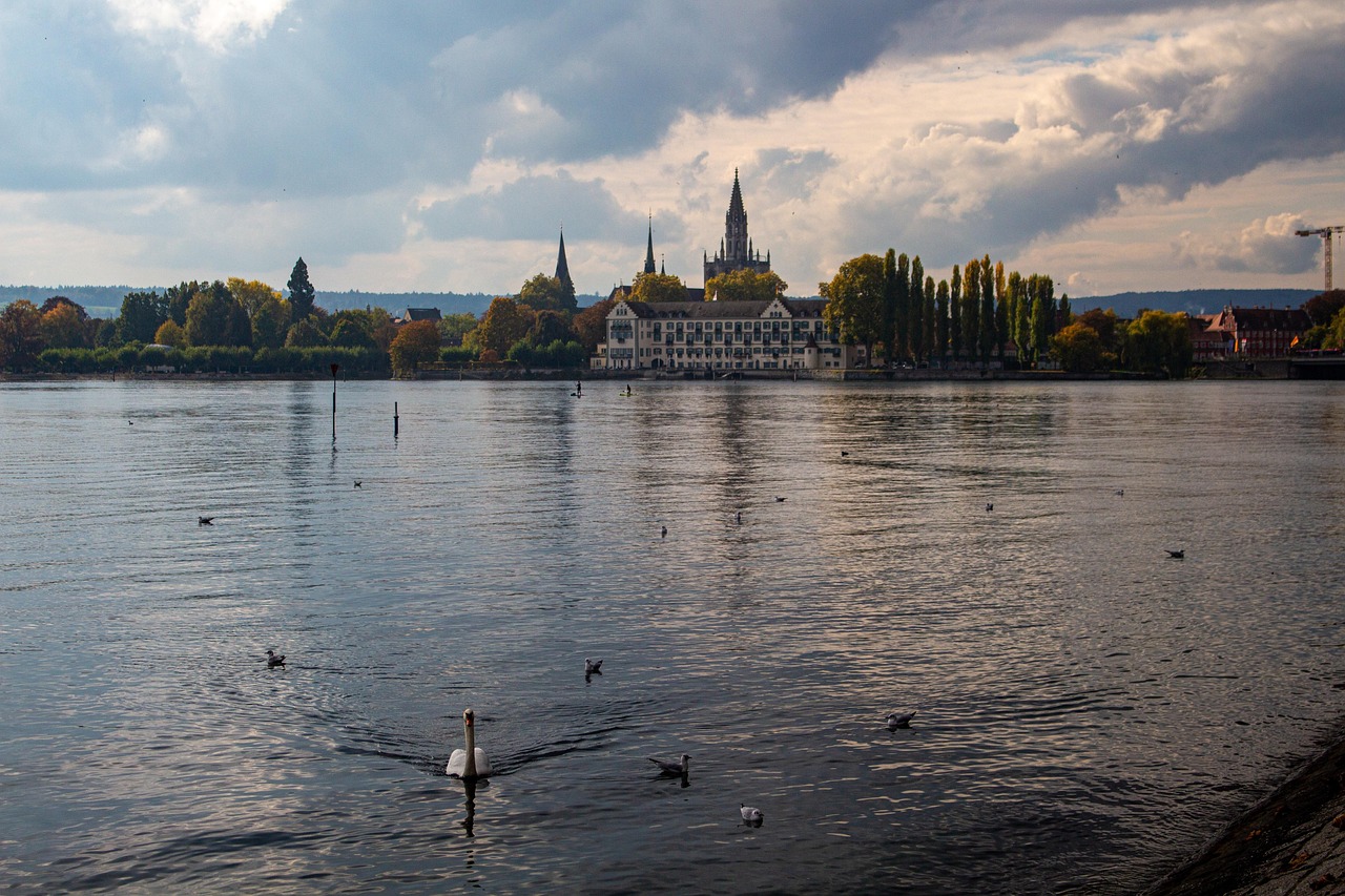 konstanz, city, lake, panorama, lake constance, water, scenery, idyll, birds, swan, tourist attraction, cathedral, konstanz minster, germany, konstanz, konstanz, nature, konstanz, konstanz, konstanz