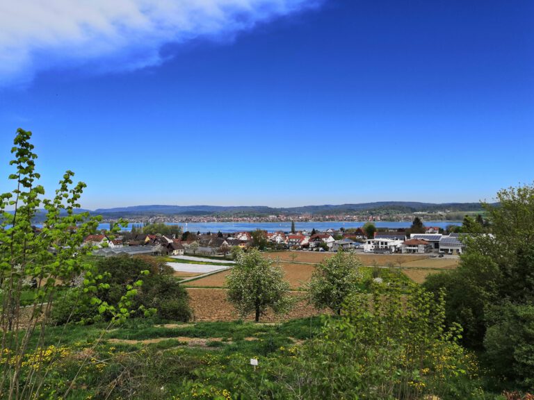 Blick auf den Bodensee